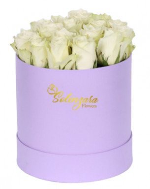 Büyük Lila Silindir Kutuda Beyaz Gül